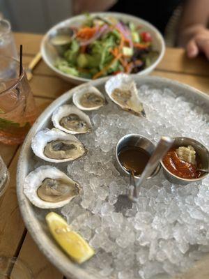 Maine Oysters