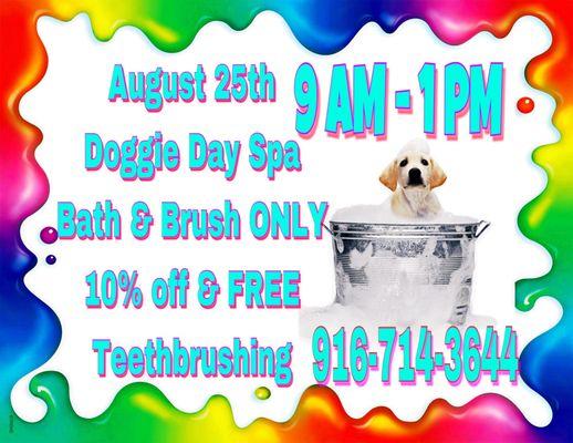 August 25th we will only be doing Bath & Brush Appointments. All who reserve a slot will receive teeth brushing and 10% off their total !