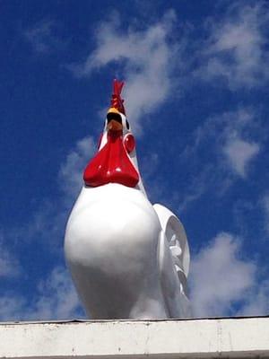 Famous foghorn leghorn