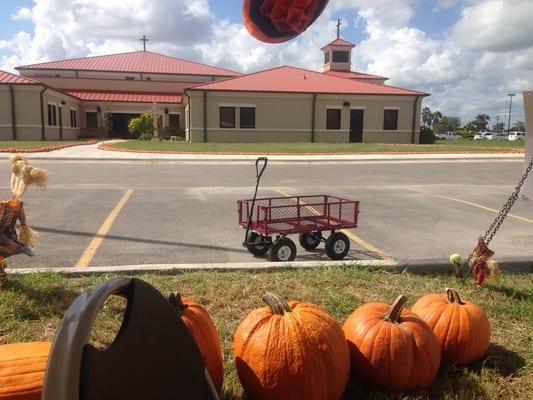 Pumpkin patch time