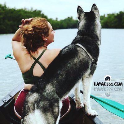 Pet friendly Kayaking at  Kayak305 in Florida