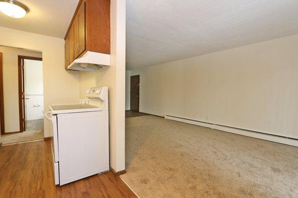 Fully Renovated 2 bedroom apartment in Northeast Minneapolis