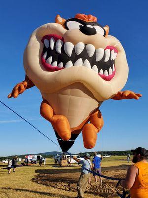 Tasmanian Devil hot air balloon