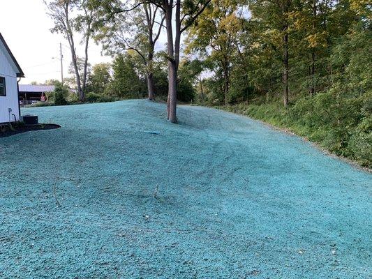 New lawn installation with hydroseeding