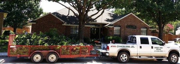 Speedy Tree Services LLC Serving Collin & Rockwall Counties