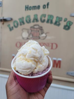 Pineapple ice cream and blue berry frozen yogurt