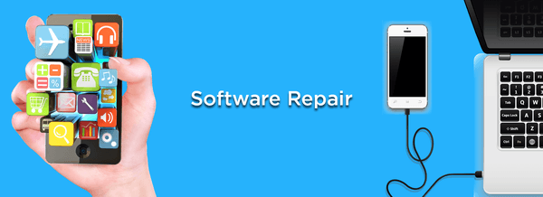 Software Repair