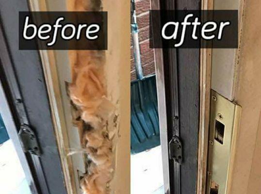 Door Frame Repair