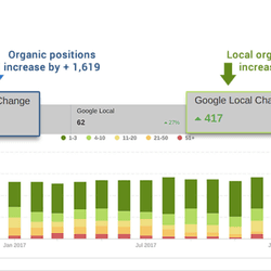 SEO Case Study