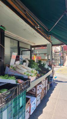 Lotus root, daikon, bok choy, and other vegetables