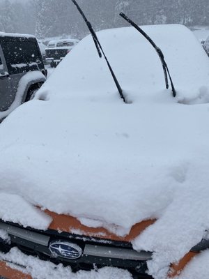 10+ inches of Snow Upstate NY