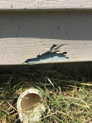 Siding destroyed during their first job mowing for us at our previous rental house.