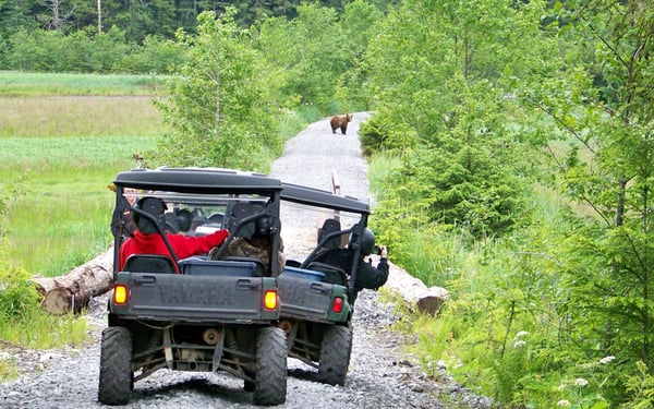 Alaska Coastal Brown Bears use the trails too.