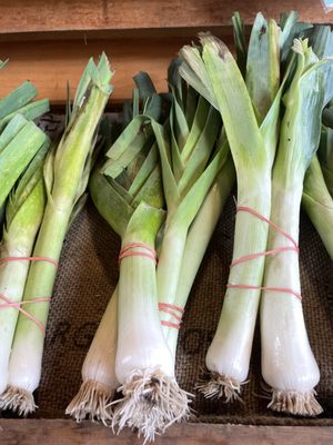 Leeks!