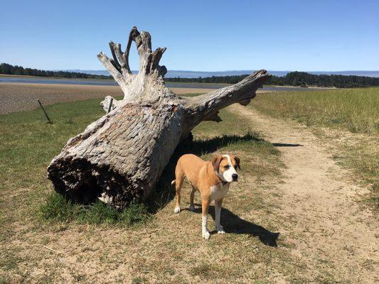 Whalen Island County Campground