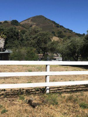 View of El Toro from DeWitt Avenue