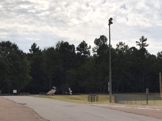 Playground and walking/biking trail