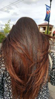 Dark brown to lighter red-brown ombré