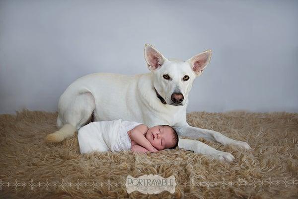 Orlando Florida Newborn Photographer