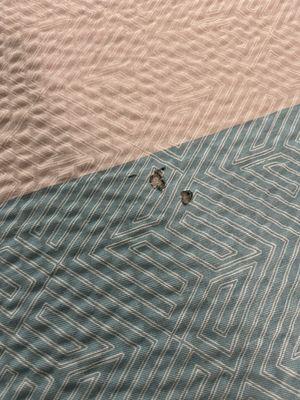 Burn marks in bed topper.