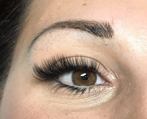 Volume lashes