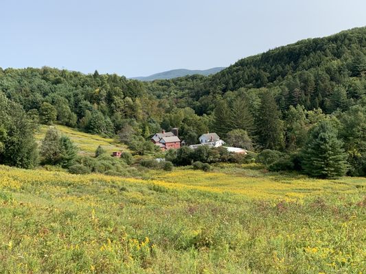 View from up the hill