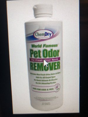 Our pet odor remover removes the nasties from your carpet