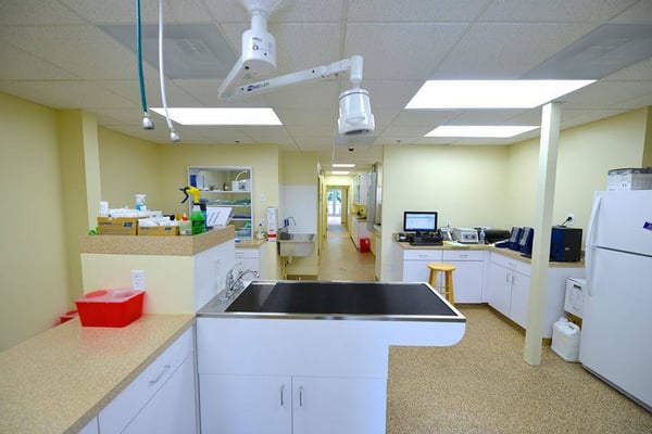 Marriottsville Animal Hospital's veterinary services comprise a full range of procedures, including hospitalization.