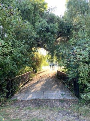 Walkway over the stream and under the willow, Thursday 14 September 2023.