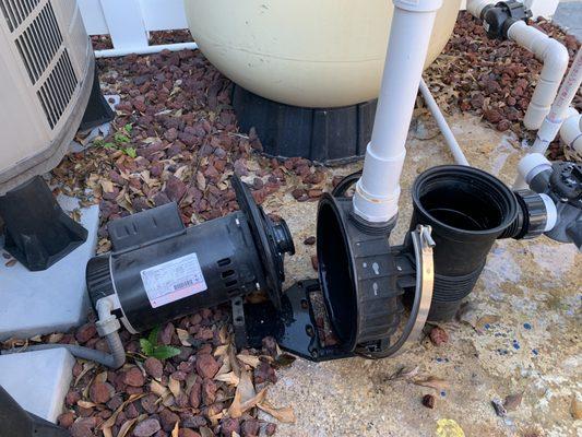 Pool pump repairs