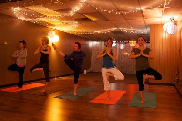 Tree Pose and Bird of Paradise