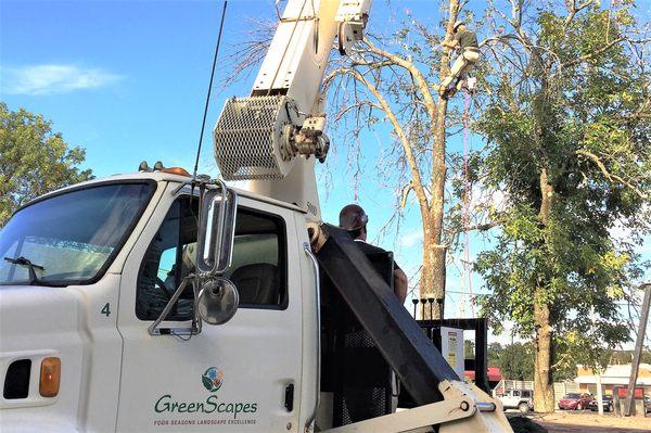 Tree Crane Service