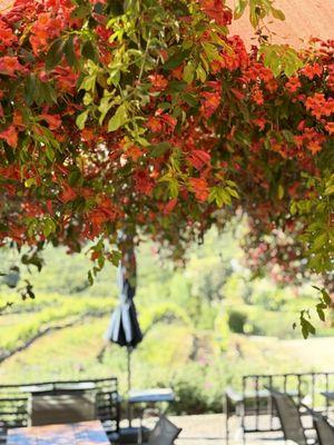 Tasting Patio overlooking the vineyard.