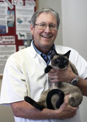 Dr Locke with a feline friend