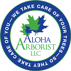 Aloha Arborist, LLC