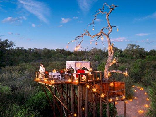 Romantic Star Bed in South Africa