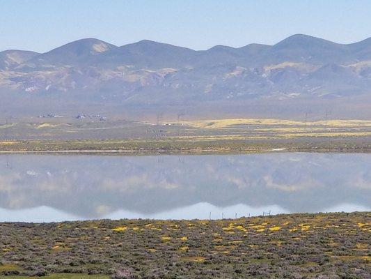 Pretty Soda Lake!