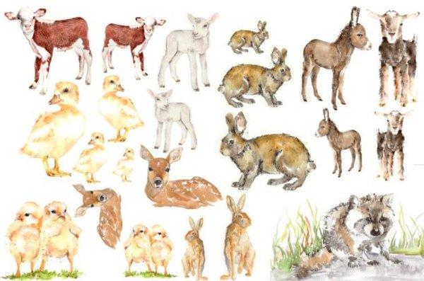 Roycycled Baby Animals