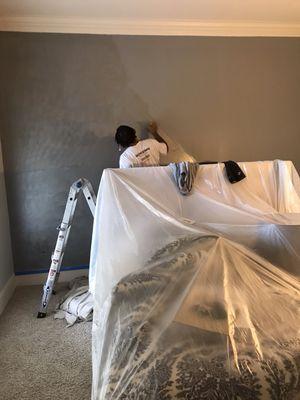 Accent wall- Brushed Pearl