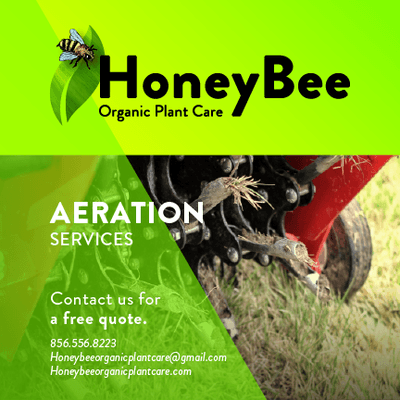 Core aeration and over-seeding