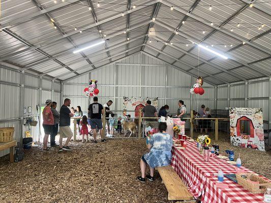 Birthday petting zoo. Kids were having a blast.