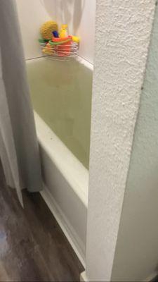 Tub filled with all other apartments sewage.