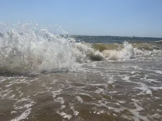 Cape Cod Treasure Chest