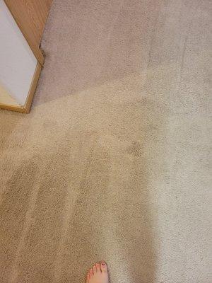 45-Clean Carpets