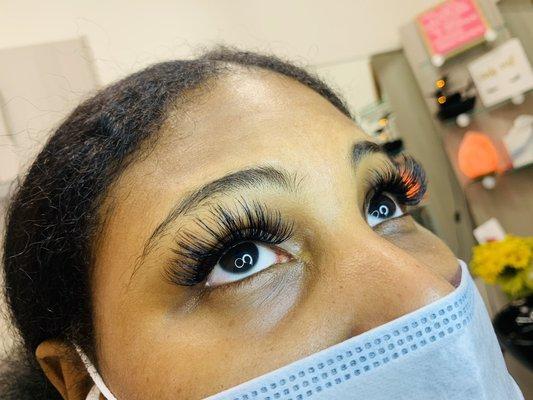 Volume Lashes