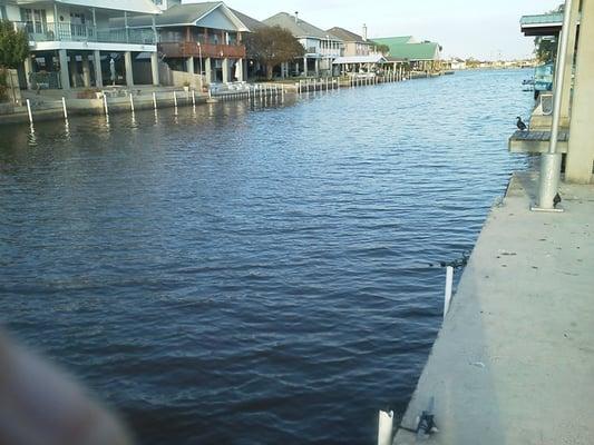 The canal as viewed from the bed and breakfast in Barataria, home base for Pelican State Fishing Charters, south of New Orleans