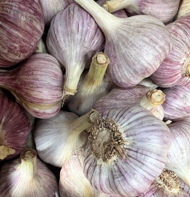 Fresh Organic Garlic