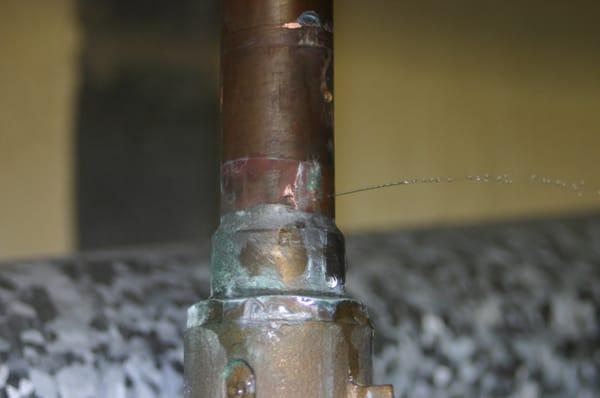 Classic "pinhole leak" caused by acidic (low pH) water. Remember, pipes don't heal.