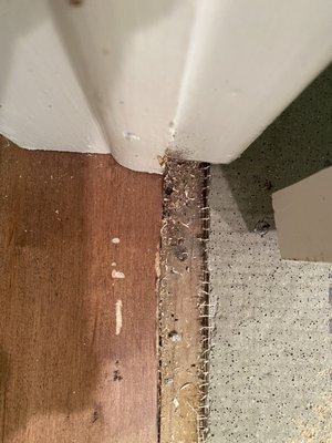 Damage to hardwood flooring (gouged and crooked cut).