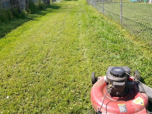 Nuncio Lawn Care